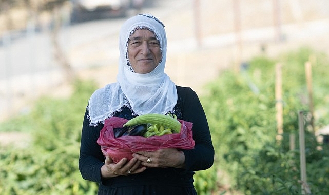 Mahalle bostanında hasat zamanı