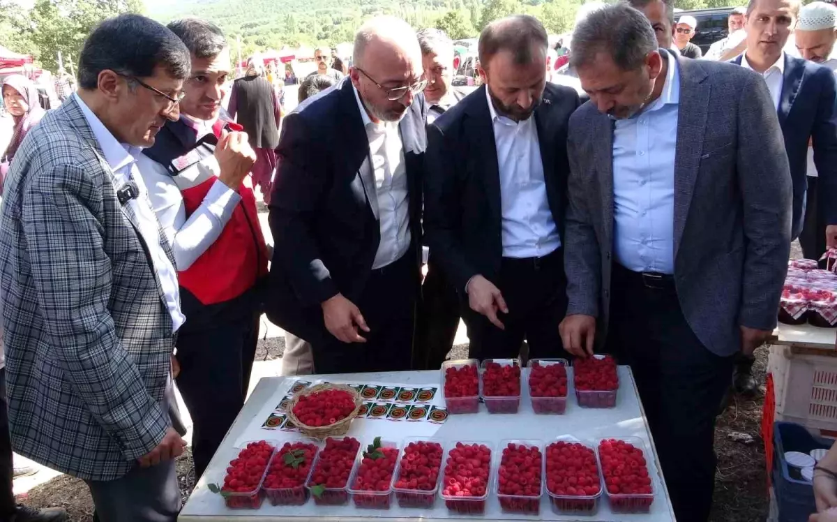 Kütahya’da Ahududu Şenliği Renklere Doyurdu