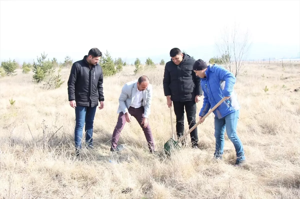 Ardahan’da Fidan Dikim Etkinliği