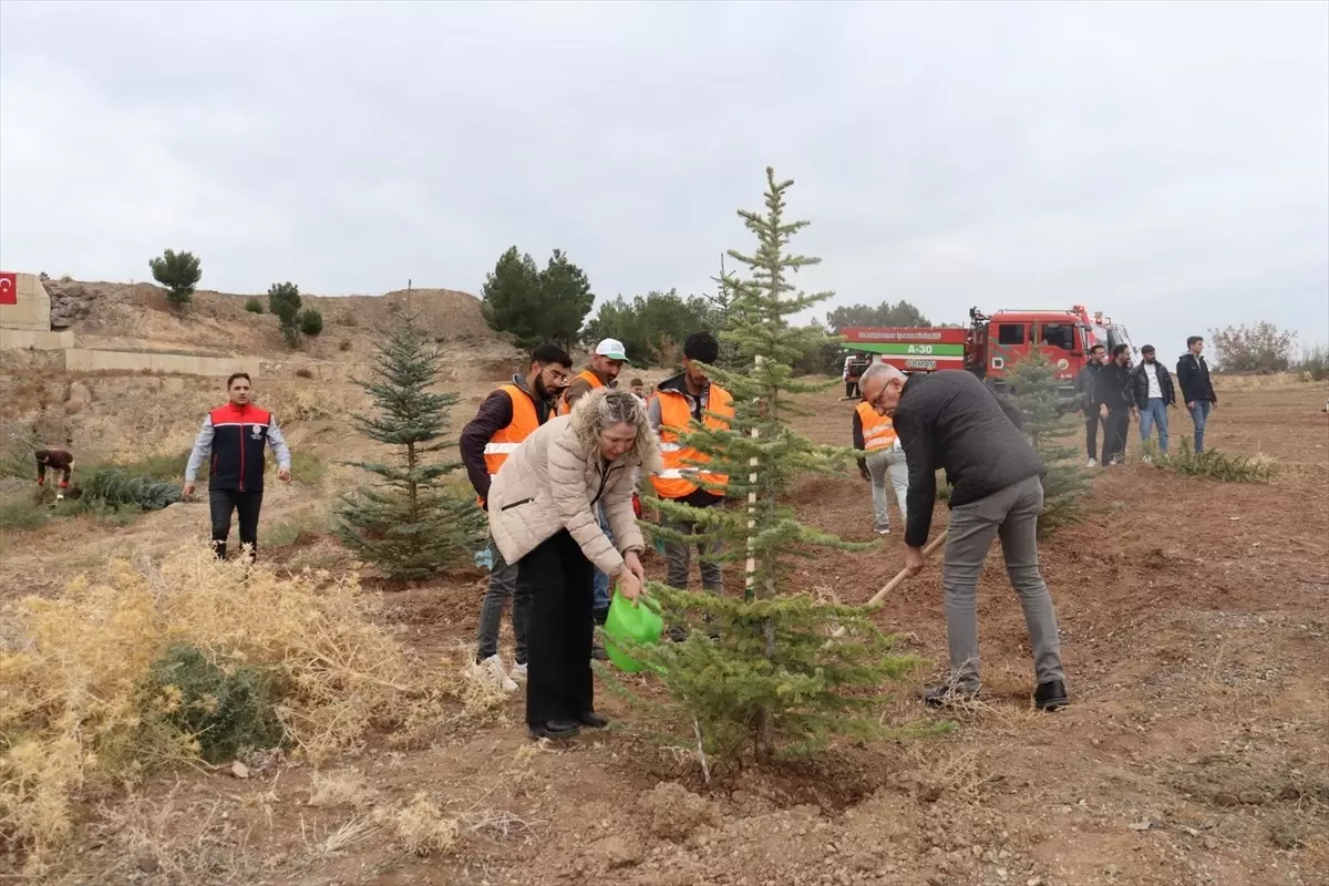 Nallıhan’da Fidan Dikimi Etkinliği